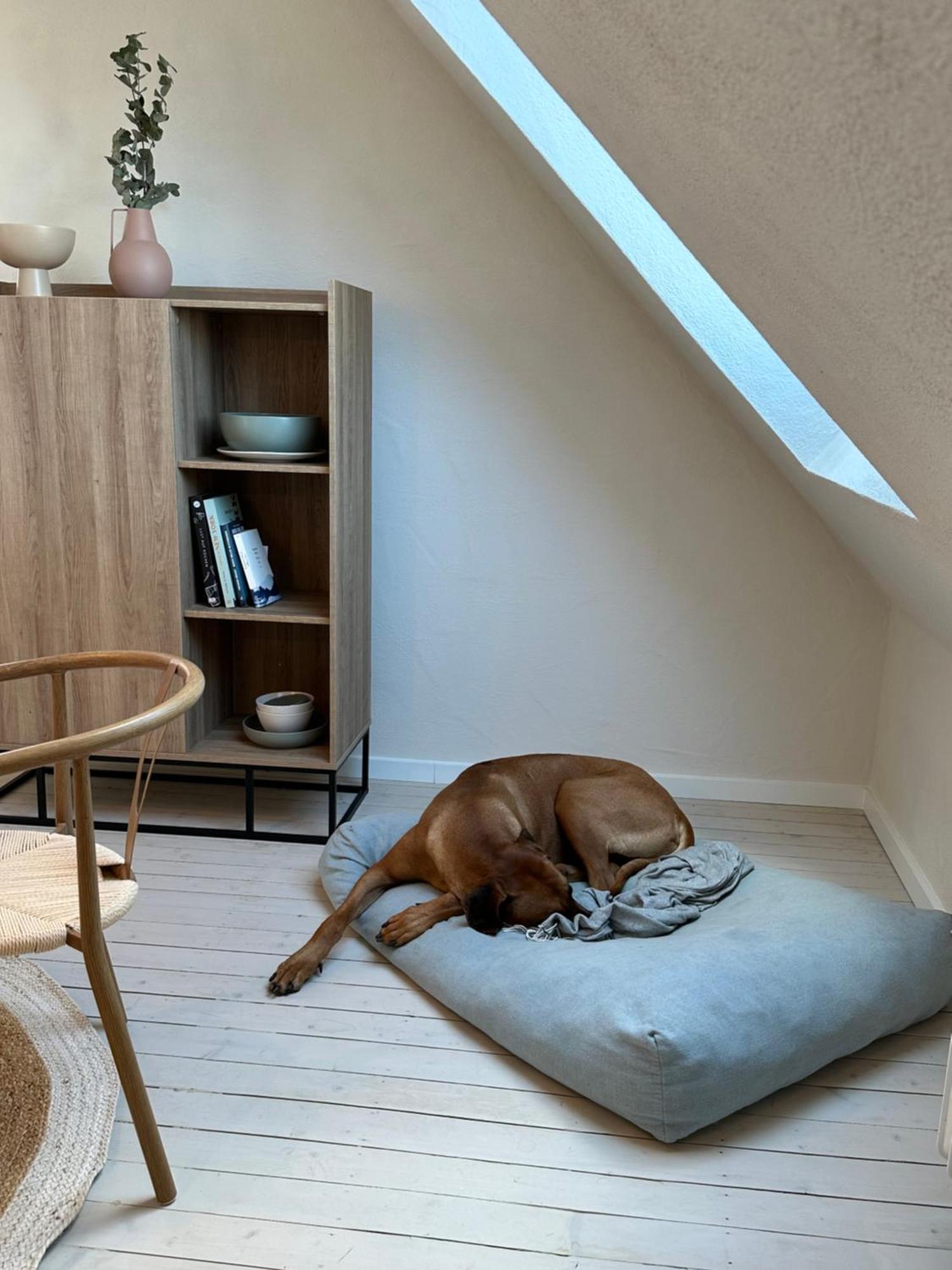 Cozy City Apartment Daun - Ferienwohnung מראה חיצוני תמונה